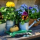 Mostra di piante e fiori