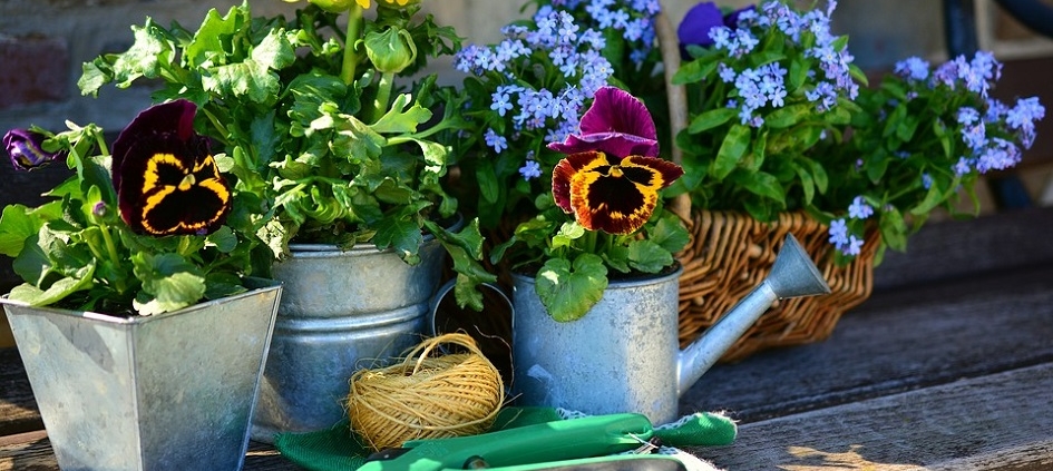 Mostra di piante e fiori